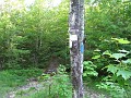 Elwell Trail NH 2010 265